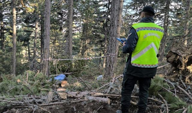 Kütahya'da kestiği ağacın altında kalan işçi can verdi
