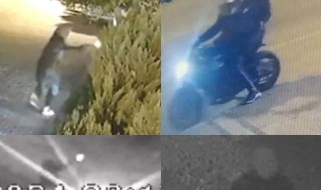 Mersin'de iş yeri kurşunlayan 'Kaplanlar' çetesi çökertildi