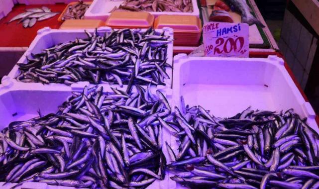 Sakarya’da hava bozuldu balık fiyatları ikiye katladı
