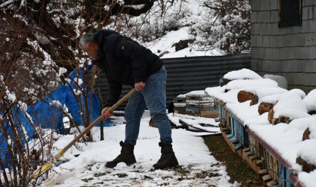 Şırnak'ta arıcıların kış mesaisi
