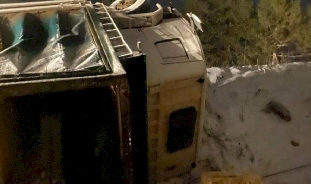 Bolu'da kamyon devrildi: Yüzlerce tavuk telef oldu