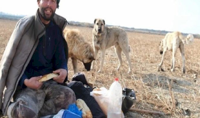 Erzincan'da sürünün güvenliği çoban köpeklerinde