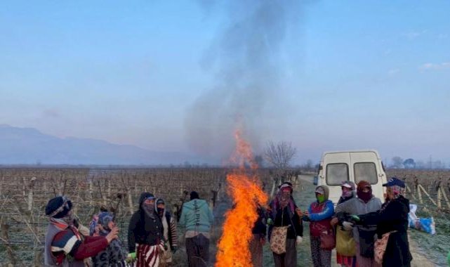 Manisa'da kadın işçiler soğuk havayla mücadele ediyor