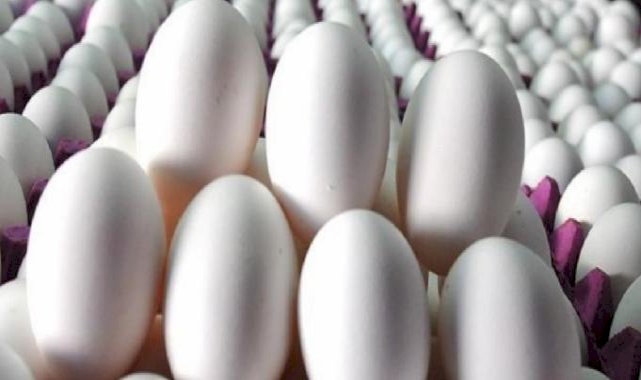 Yumurta üreticileri fiyatlara zam yaptı