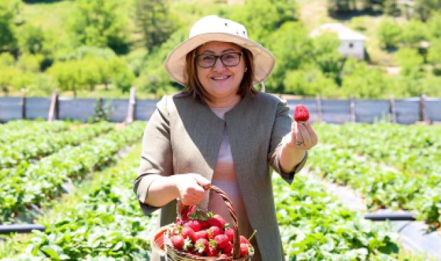 Tarım zirvesi başlıyor: Sektörün öncüleri Gaziantep’te buluşuyor