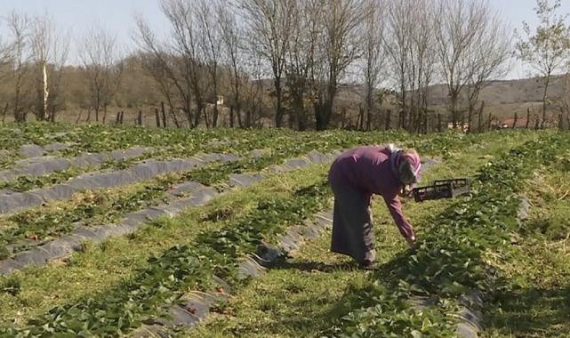 Tarıma dayalı ekonomik yatırım projelerine 10 milyon TL hibe