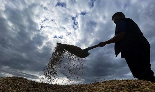 Tarıma dayalı ekonomik yatırım projelerine 10 milyon TL hibe