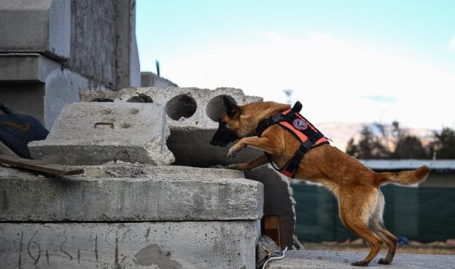 TSK İnsani Yardım Tugayı'ndan arama kurtarma tatbikatı