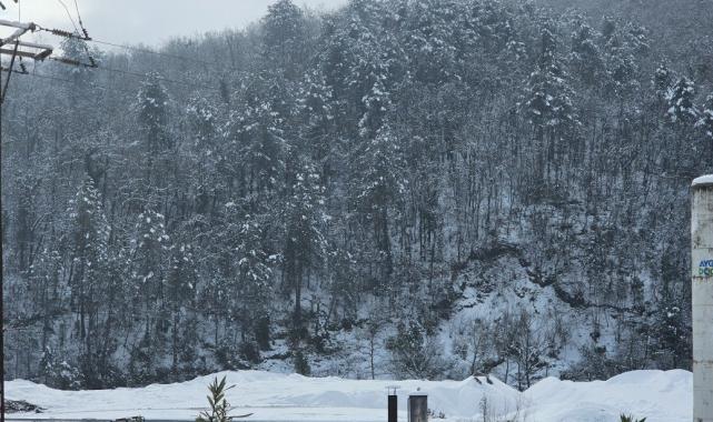 Zonguldak’ta 67 köy yolu ulaşıma kapalı