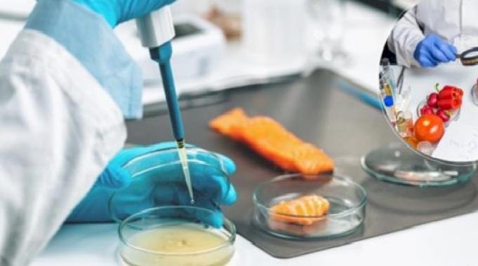 Türkiye, AB çatısı altında yürütülen gıda güvenliği kampanyasına katıldı