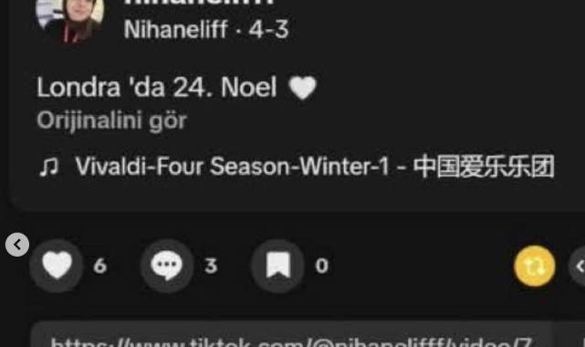 Yusuf Tekin’in Kızı Nihan Elif Yılbaşı Kutlaması