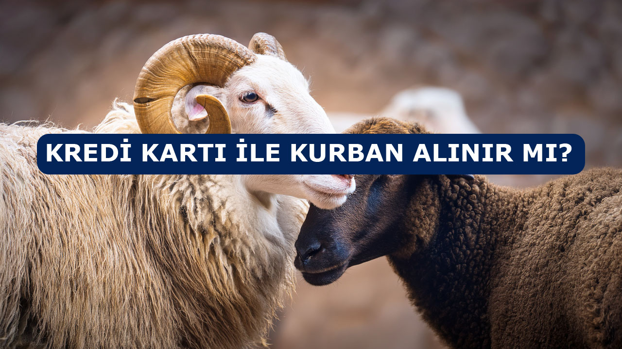 Birçok Kişinin Merak Ettiği O Soru: Kurban Kredi Kartıyla Alınır mı?