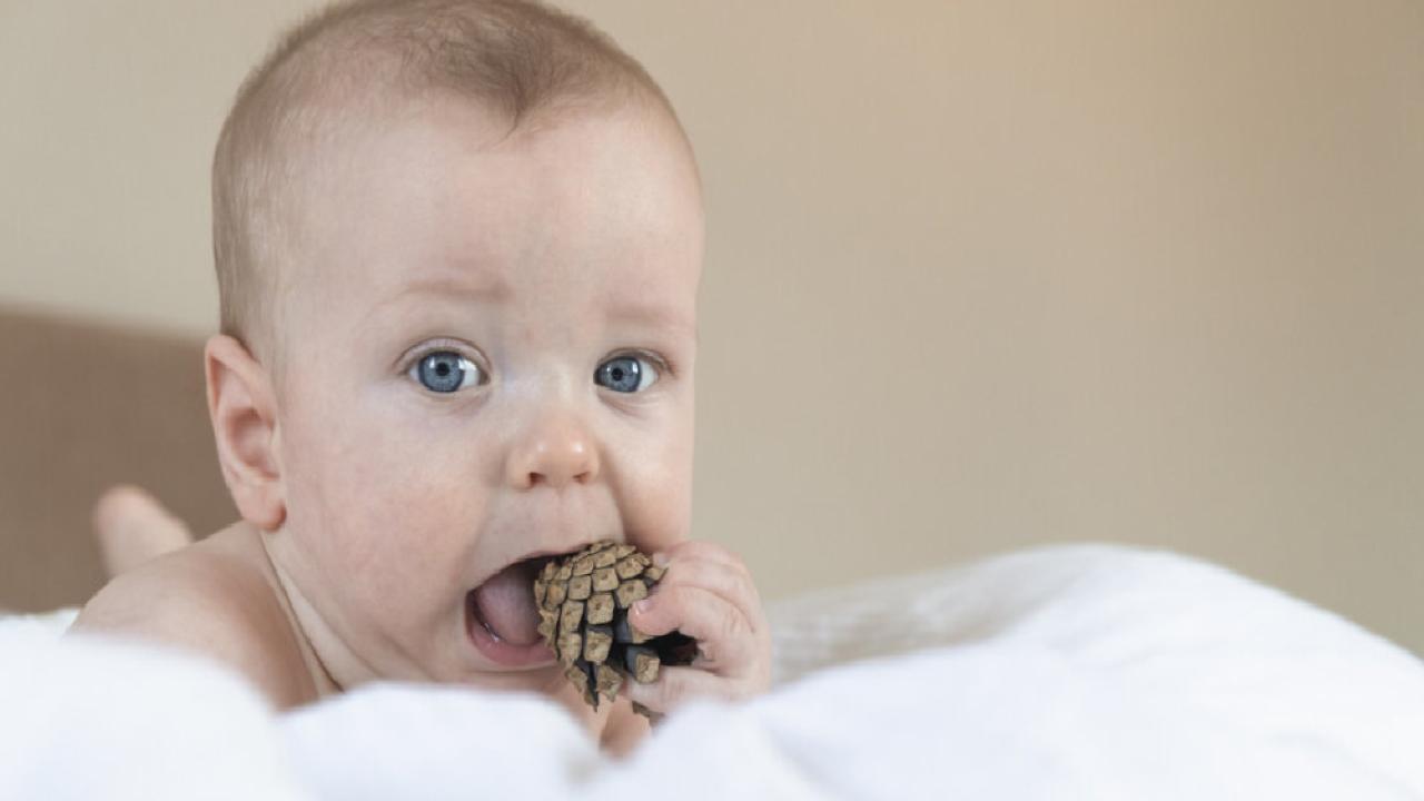 Bebeklikte ağız bakımıyla ömür boyu sağlıklı dişlere!