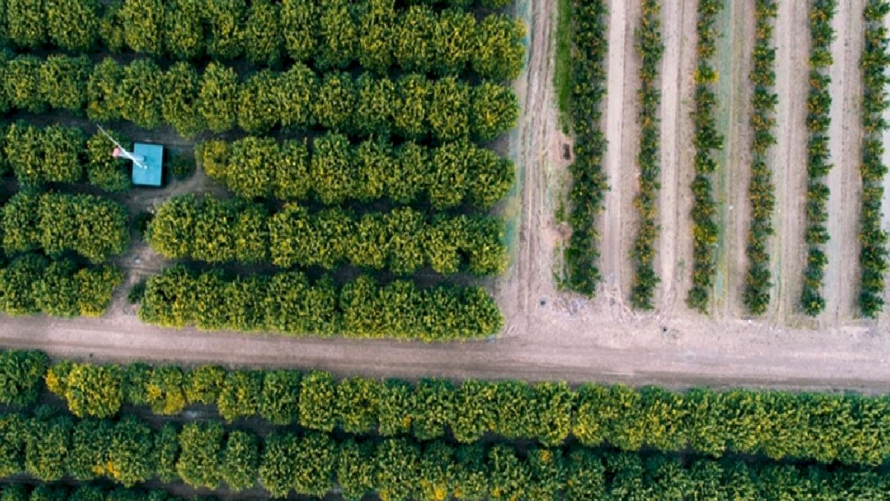 Gıda güvenliği için kırsal dönüşüm şart