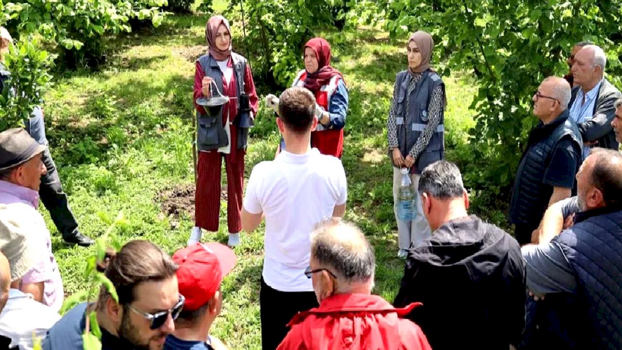 Sakarya&#039;da çiftçilere feromon tuzağı ulaştırıyor