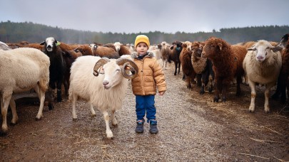 Kurban Bayramı'nın Anlamı: Kurban Nedir ve Neden Kesilir?