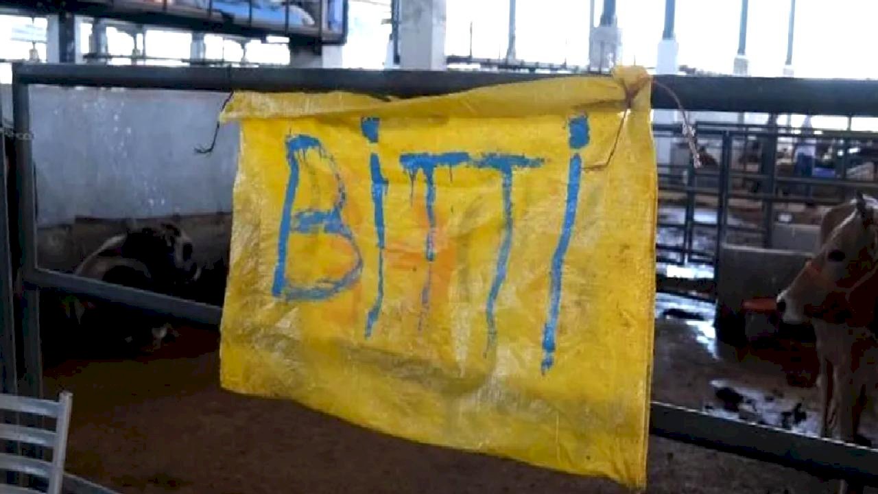 Bursa İnegöl&#039;de 5&#039;inci bayramda modern ve hijyenik satış