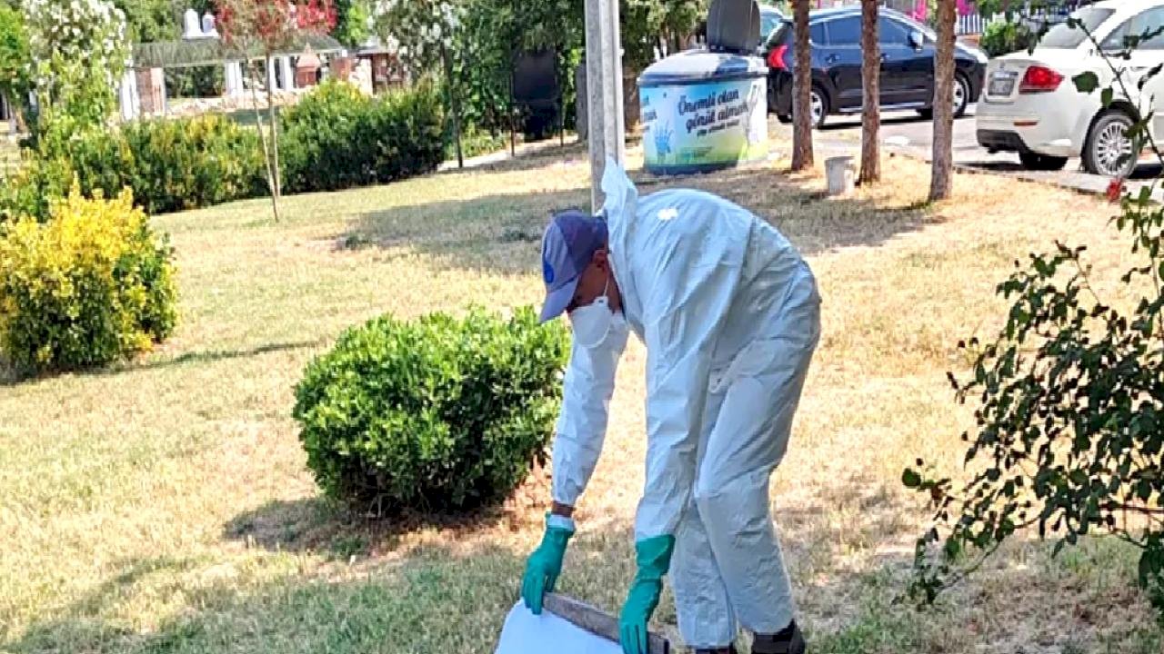 İstanbul Büyükşehir'den kene ile mücadele