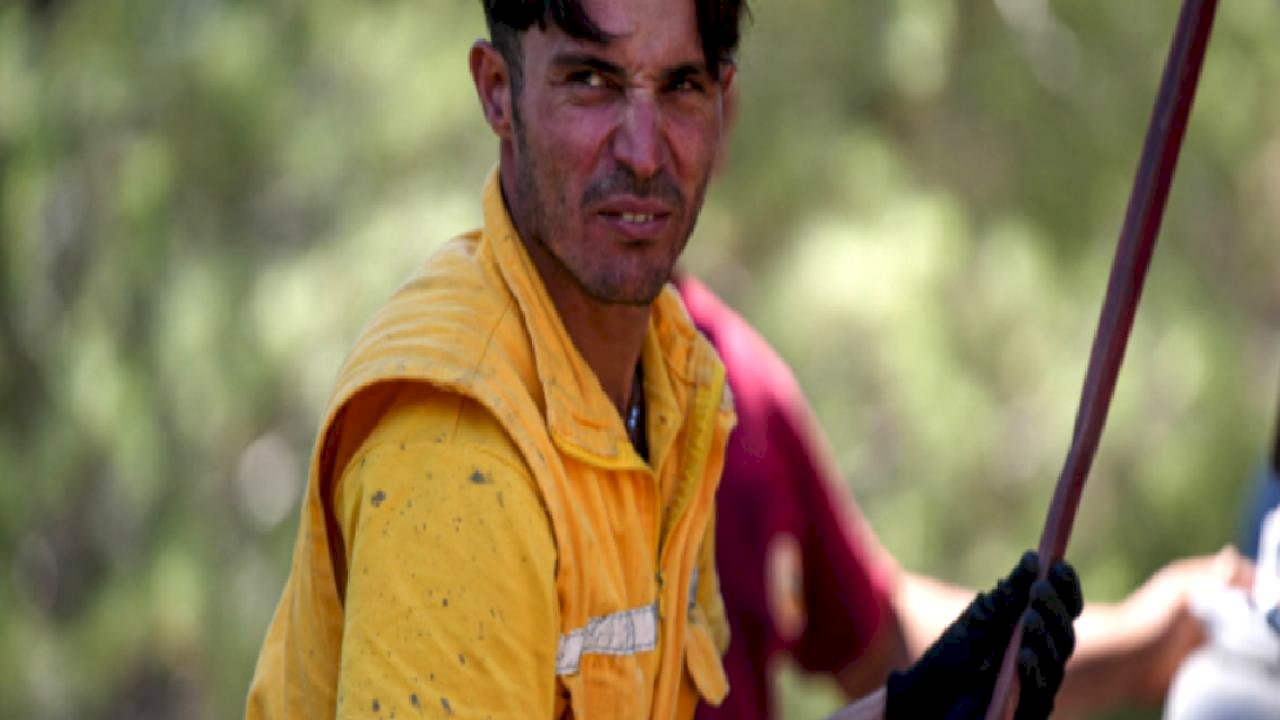 İzmir'de alev savaşçılarının orman yangınlarıyla mücadelesi sürüyor