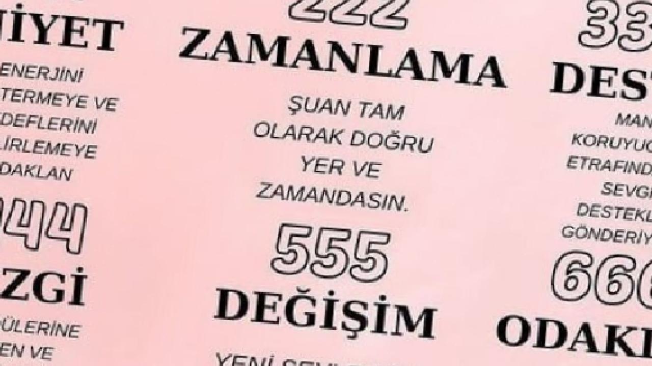 Melek sayınızın kaç olduğunu ve anlamını öğrenin!