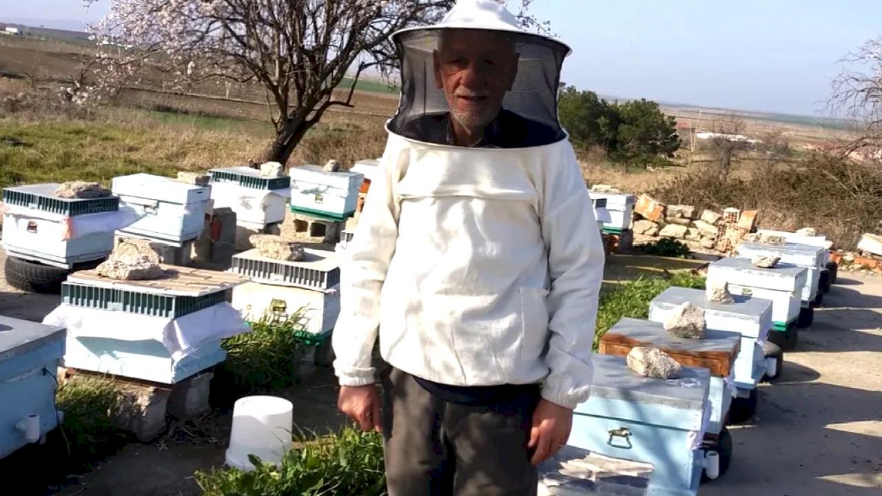 Süne mücadelesi faydalı canlıları tehdit ediyor