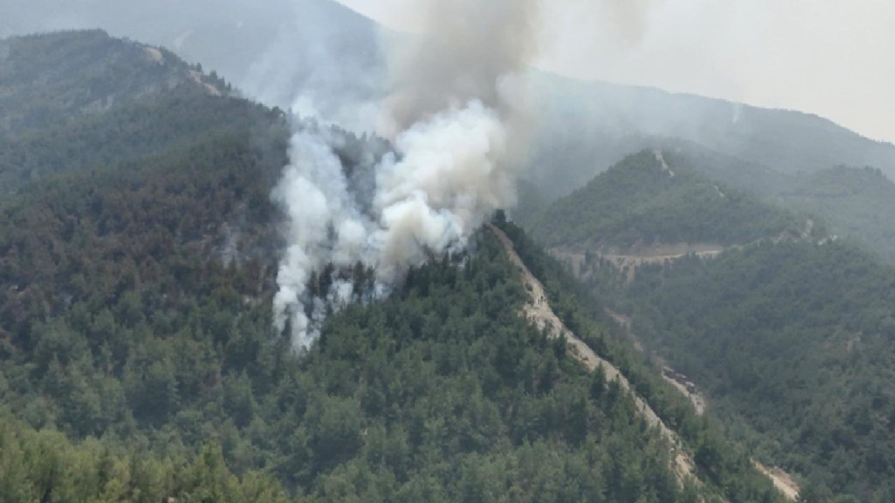 19 günde 61 orman yangını: 23 şüpheli gözaltına alındı