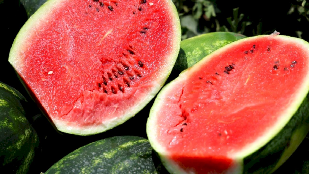 Adana’da karpuz tarlada kaldı: Belediyeler hasat edip ücretsiz dağıtsın