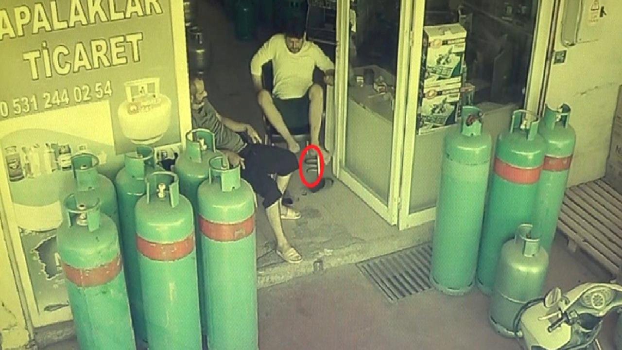 Antalya'da dükkana giren yılan, esnafı sokağa fırlattı