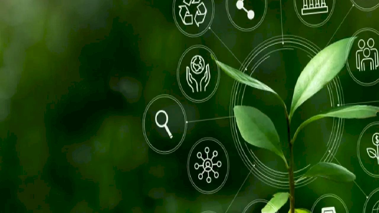 İklim Kanunu &#039;Resmi&#039;leşti... İklim değişikliğiyle mücadelede yeni dönem