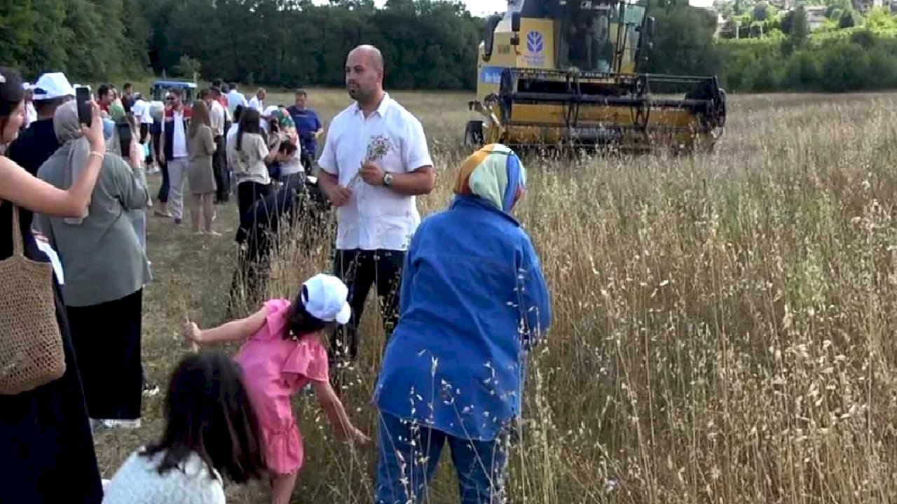İstanbul Şile’de keten hasadı gerçekleştirildi 