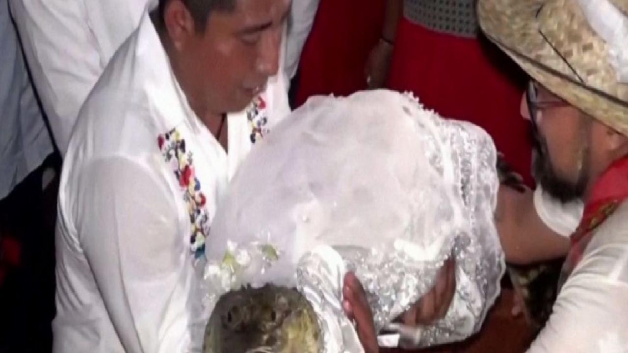 Meksikalı belediye başkanının ilginç düğünü: Timsahla evlendi