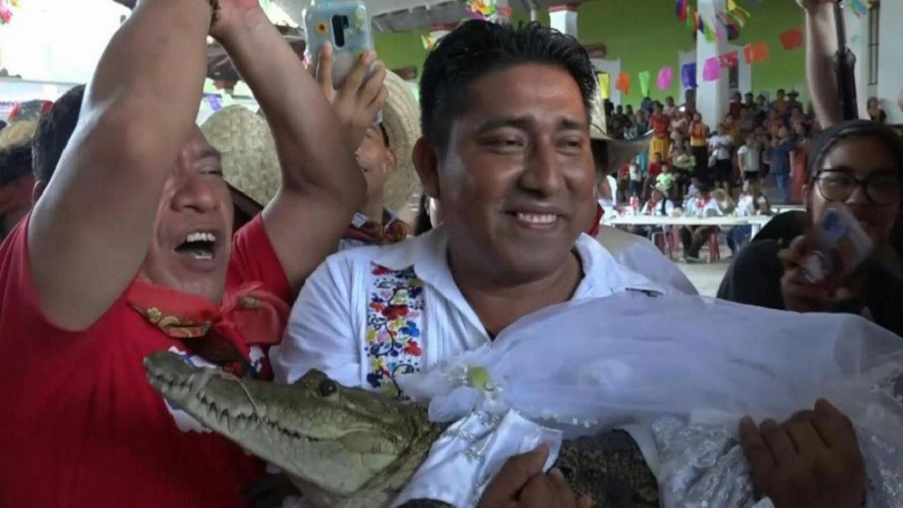 Meksikalı belediye başkanının ilginç düğünü: Timsahla evlendi