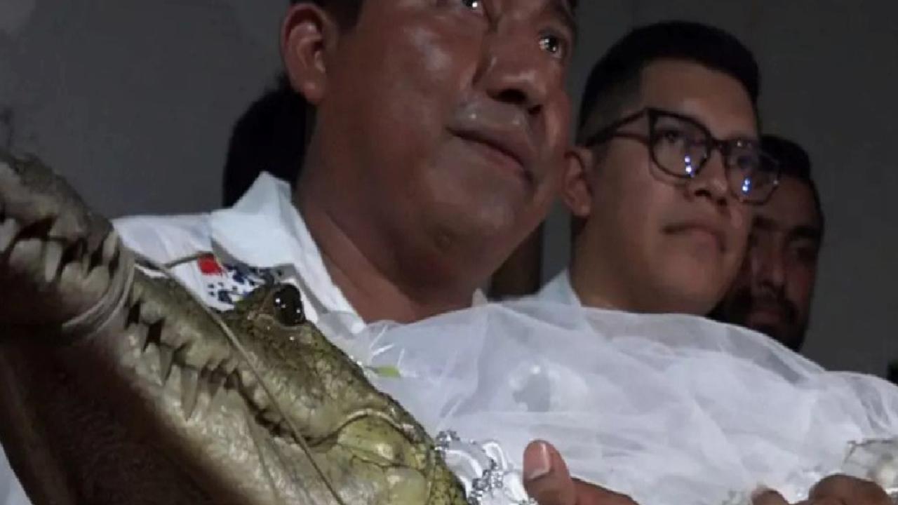 Meksikalı belediye başkanının ilginç düğünü: Timsahla evlendi