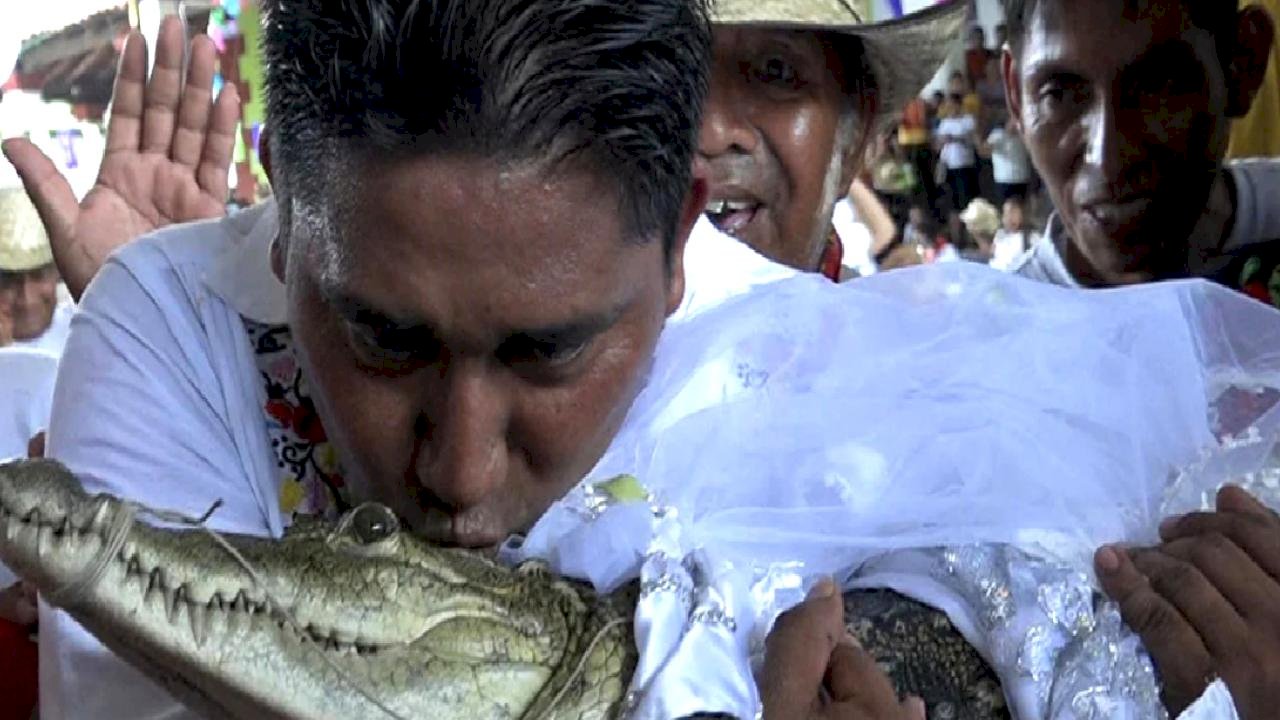 Meksikalı belediye başkanının ilginç düğünü: Timsahla evlendi