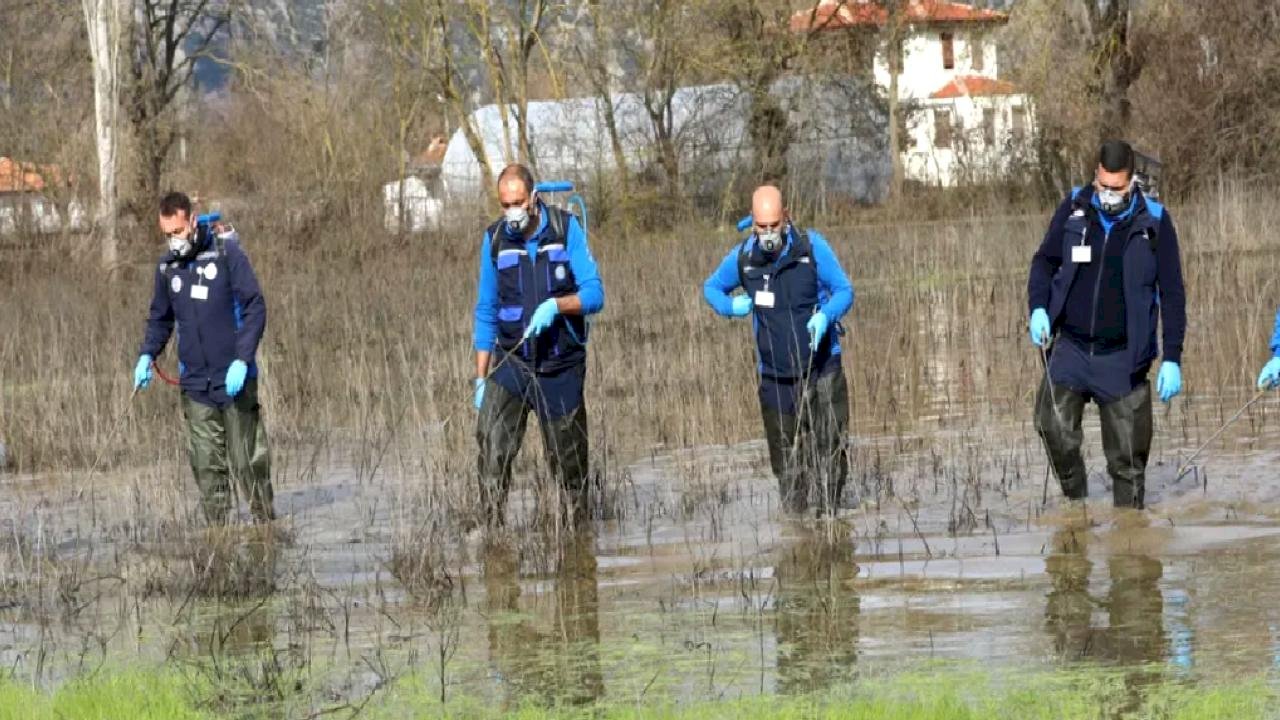 Muğla Büyükşehir’den 13 ilçede vektörle mücadele 