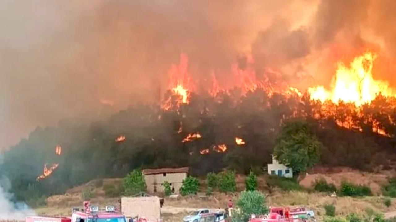 Orman'da 10 acı kayıp! 7 yangın sürüyor!