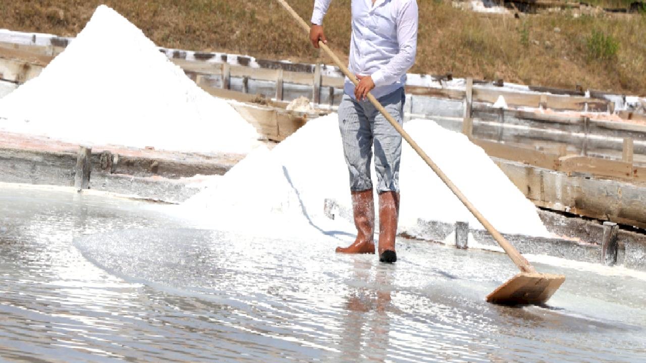 Sivas'ta iki asırdır aynı yöntemlerle elde edilen beyaz altının hasadı başladı