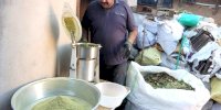 Sadece Erzincan'da bulunan Zetrin baharatının faydaları saymakla bitmiyor
