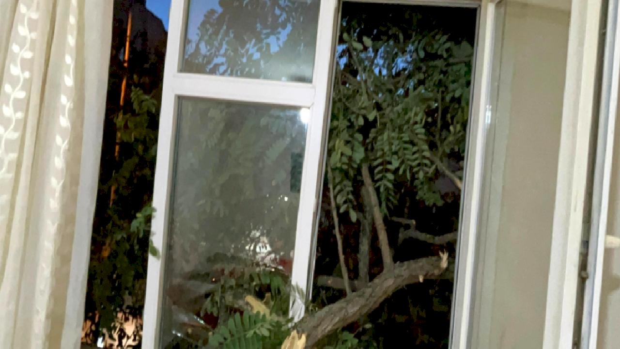 Tekirdağ&#039;da evinin balkonunda kahve içiyordu: Üzerine ağaç devrildi