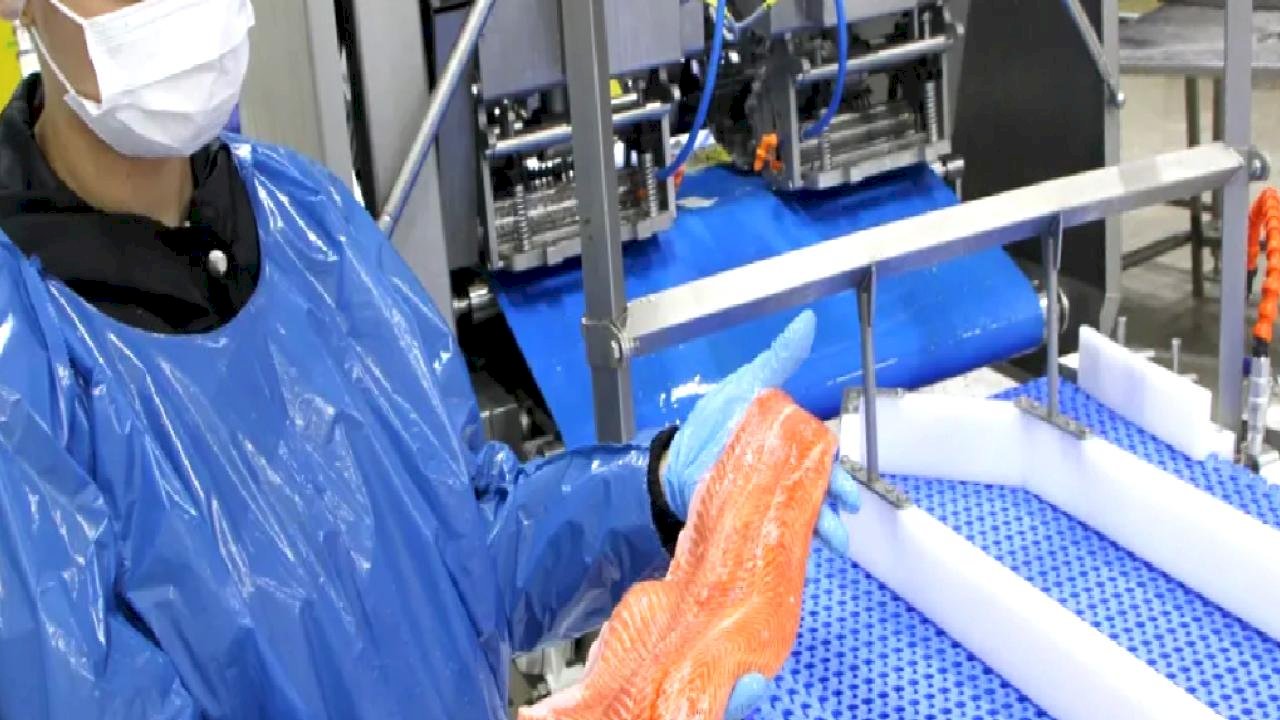 Türk somonu ihracatı rekor kırıyor... 2035 hedefi 1 milyar dolar