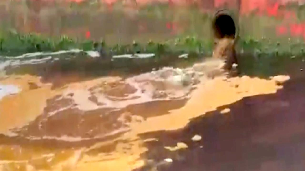 Yalova'da Marmara Denizi'ni kirleten tersaneye 3,7 milyon lira ceza