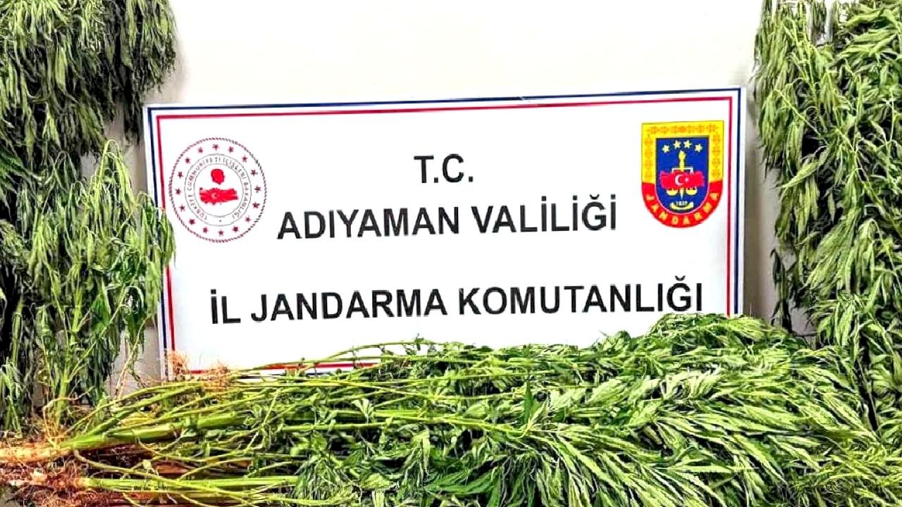 Adıyaman’da uyuşturucu operasyonu: 9 gözaltı