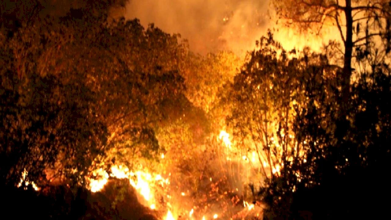 Çanakkale&#039;de orman yangınında son durum: Tahliyeler sürüyor