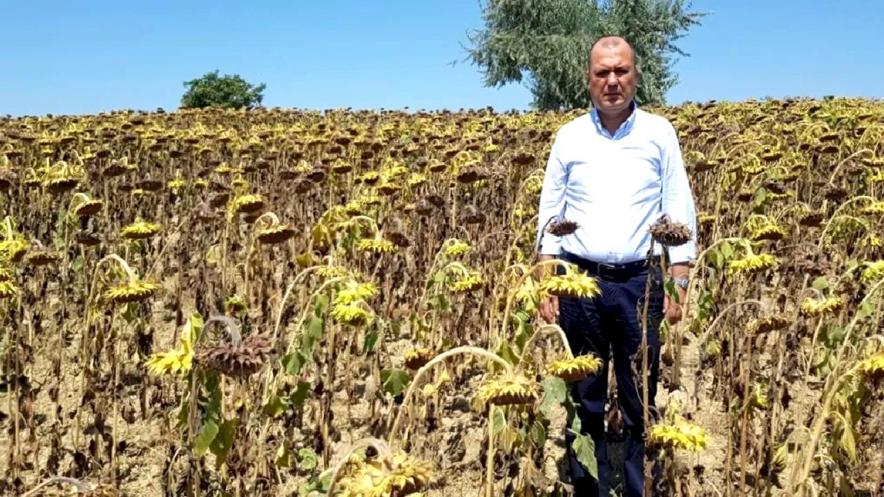 CHP Tekirdağ Milletvekili Aygun’dan kuraklık için yasa teklifi
