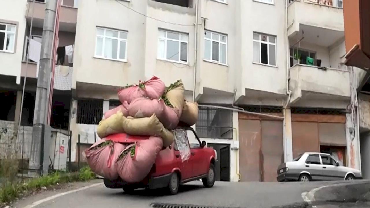 Rizeliler çay taşımak için yeni yöntem geliştirdi