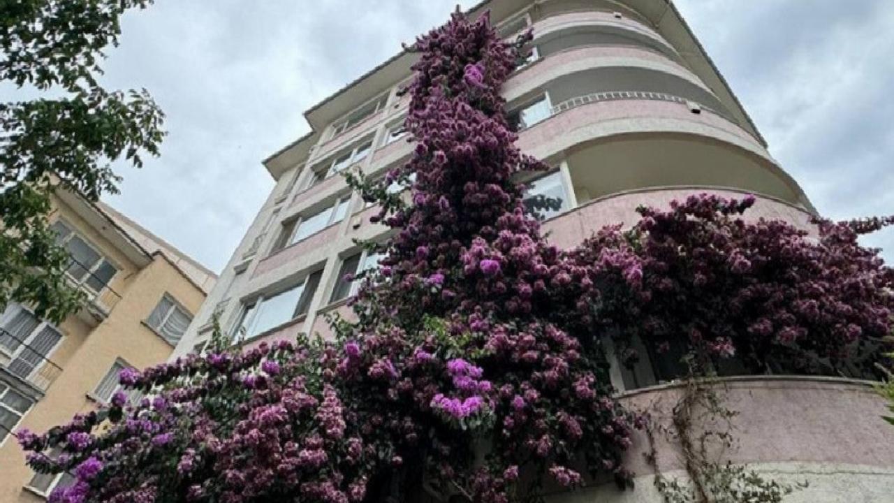 Aidat artışları 2025’te zirve yaptı