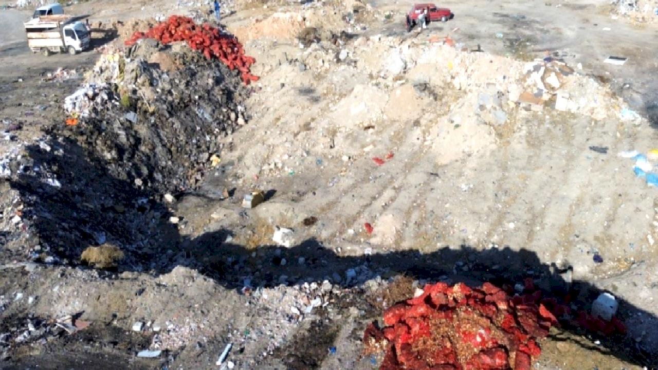 Karaman&#039;da boş araziye tonlarca soğan döküldü: Vatandaşlar çuvallara doldurup götürdü