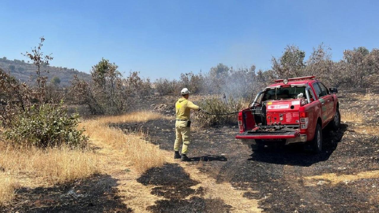 Mardin'de ormanlık alanda yangın paniği