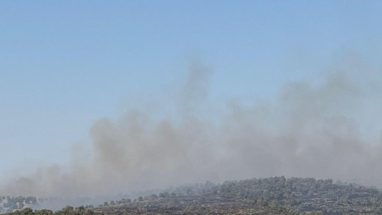 Mardin'de ormanlık alanda yangın paniği