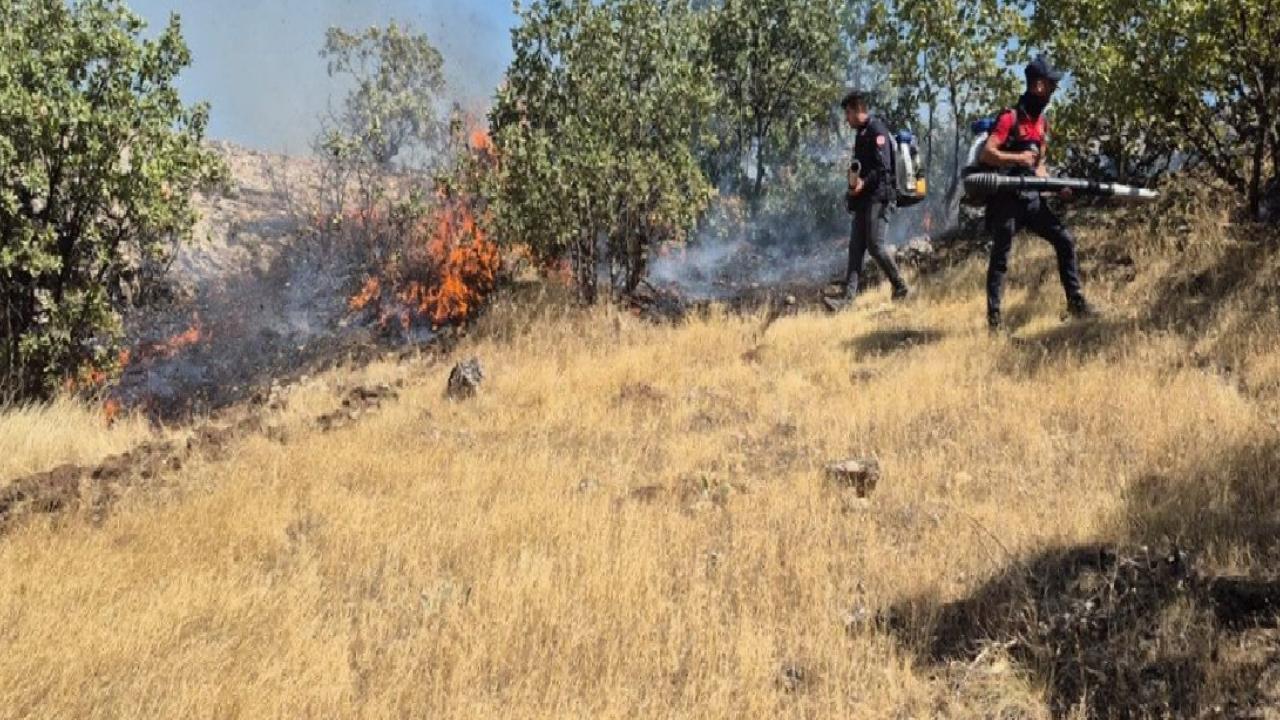 Mardin'de ormanlık alanda yangın paniği